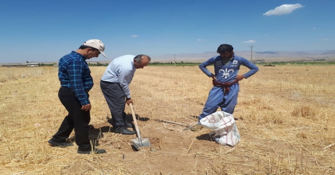 نمونه برداری 
