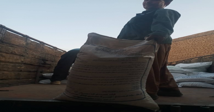 تخلیه سوپرفسفات تریپل در کارگزاری شرکت تعاونی رستاق