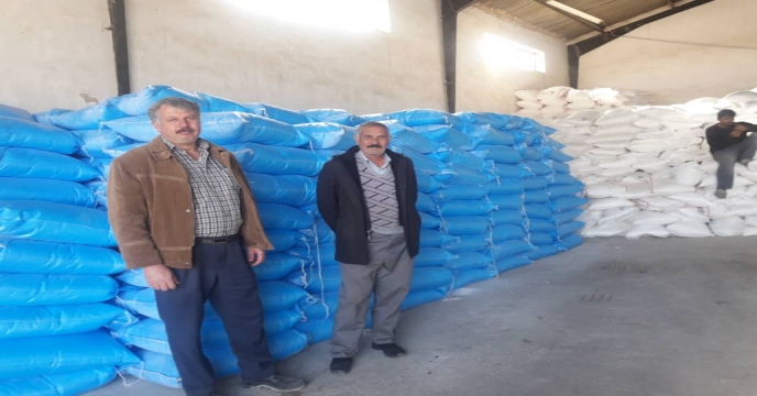 توزیع بیش از1500 تن انواع کود کشاورزی یارانه ای به شهرستان اراک و حومه در آذر ماه سال جاری