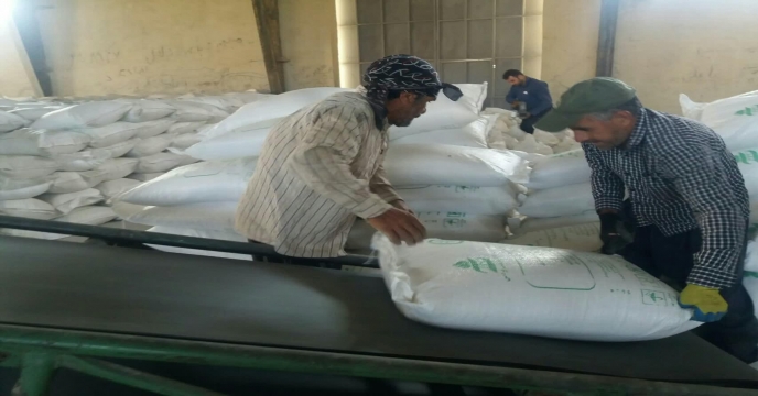 ارسال کود اوره به شرکت تعاونی روستایی آفتاب آهنگران _ استان مرکزی