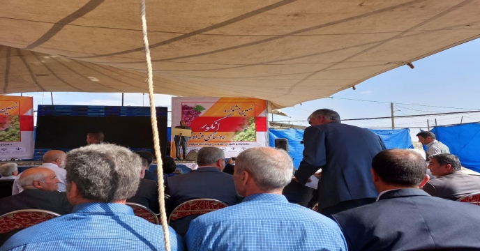 برگزاری نهمین جشنواره انگور در روستای هزاوه زادگاه امیرکبیر فراهانی حومه شهر اراک،استان مرکزی
