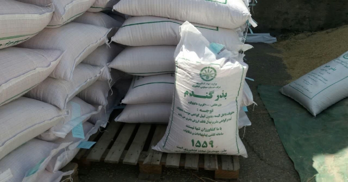 عملیات بوجاری ارقام مختلف بذور گواهی شده و مادری گندم و جو در استان مرکزی در سال 98