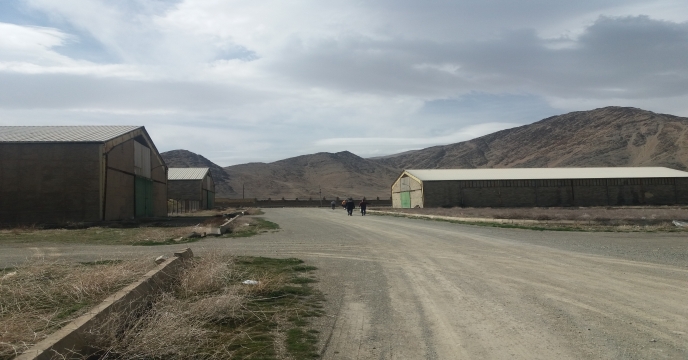 توزیع بیش از1224 تن انواع کود کشاورزی یارانه ای به شهرستان اراک و حومه در اسفند ماه سال 1403