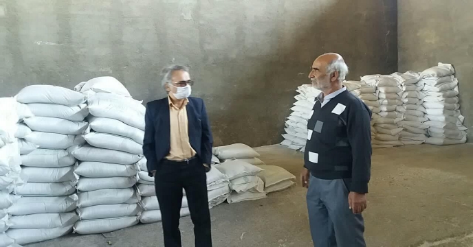 تامین و تدارک و ارسال مقدار 50 تن کود اوره در نیمه دوم مهرماه 1399 – شهرستان ساوه