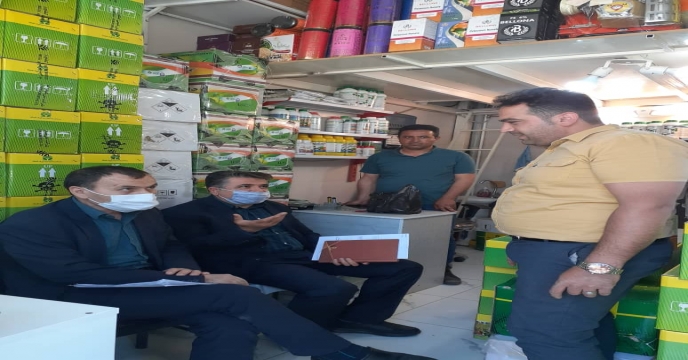 بازدید 