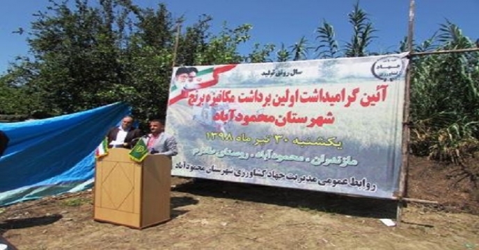 bardasht3
