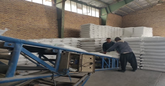بازدید مدیر شرکت خدمات حمایتی کشاورزی استان مرکزی از محل ذخیره سازی کود و روند کیسه گیری کود فله اوره و بارگیری کود در انبار های سازمانی علی آباد و شهید شاملو 