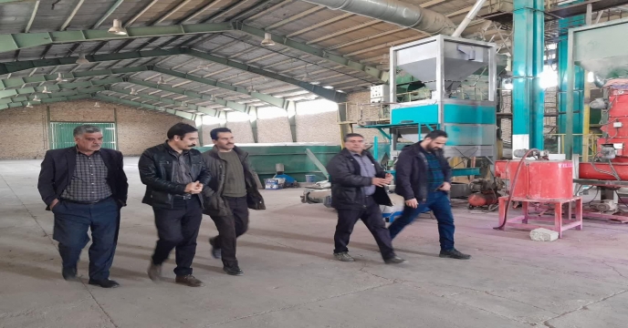 بازدید مدیر شرکت خدمات حمایتی کشاورزی استان مرکزی از محل ذخیره سازی کود و روند کیسه گیری کود فله اوره و بارگیری کود در انبار های سازمانی علی آباد و شهید شاملو 
