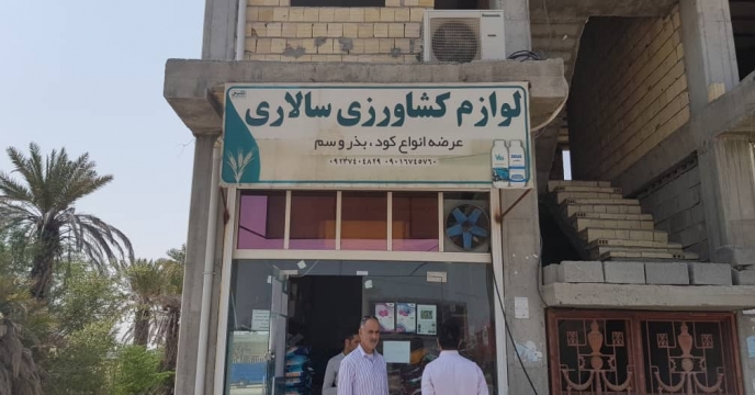 bazdid