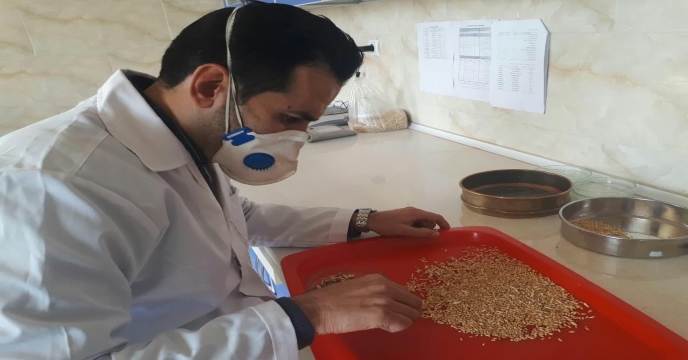 آنالیز ضایعات حاصله از بوجاری سالجاری محصول گندم و جو جهت تعیین نرخ پایه فروش شرکت خدمات حمایتی کشاورزی استان مرکزی دیماه 98