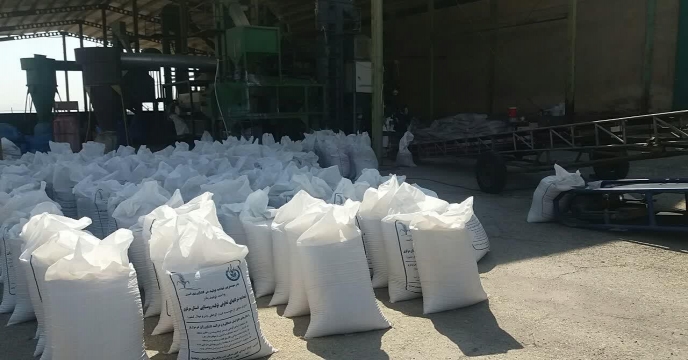 بوجاری بذر جو در سایت بوجاری استان مرکزی