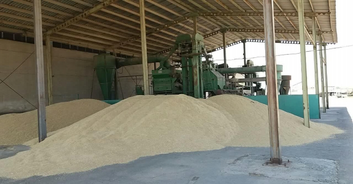 بوجاری بذر جو در سایت بوجاری استان مرکزی