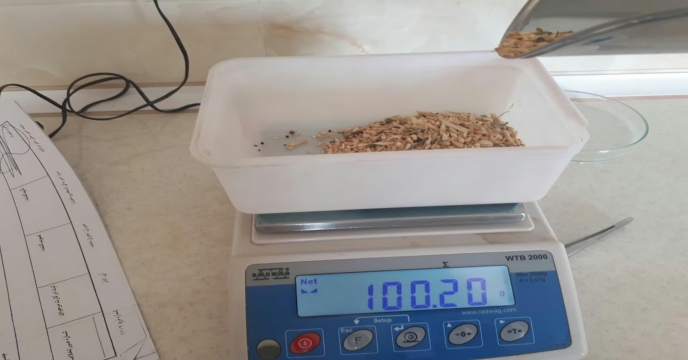 آنالیز ضایعات حاصله از بوجاری سالجاری محصول گندم و جو جهت تعیین نرخ پایه فروش شرکت خدمات حمایتی کشاورزی استان مرکزی دیماه 98