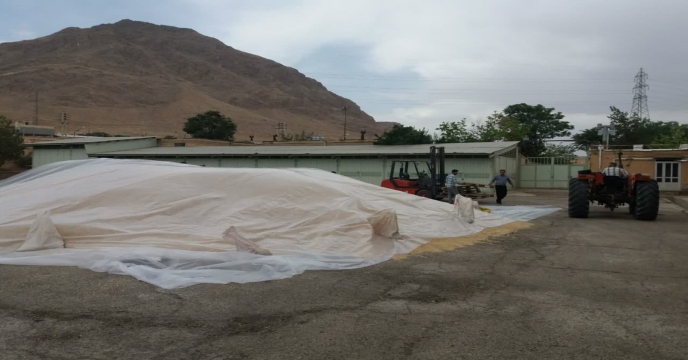 بارندگی