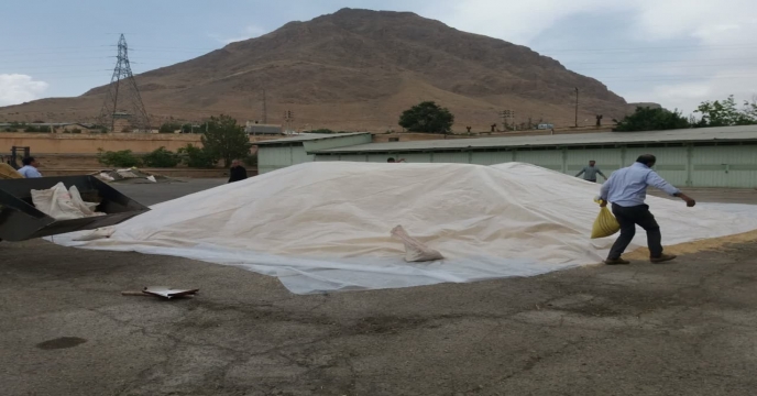 بارندگی