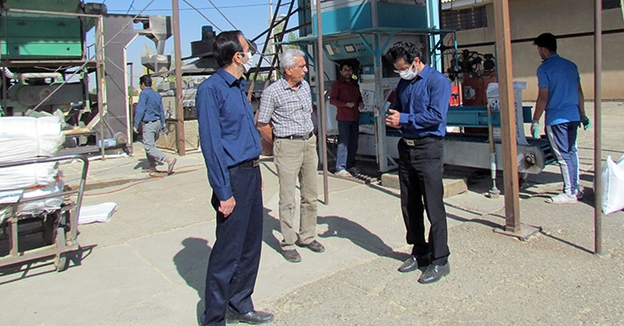 بازدید سرپرست شرکت خدمات حمایتی کشاورزی استان همدان از سامانه بوجاری
