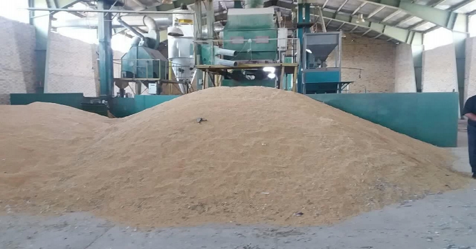 آغاز عملیات بوجاری بذر جوو گندم در استان مرکزی – شهریور ماه 1400