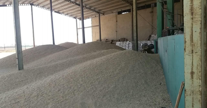 آغاز عملیات بوجاری بذر جوو گندم در استان مرکزی – شهریور ماه 1400