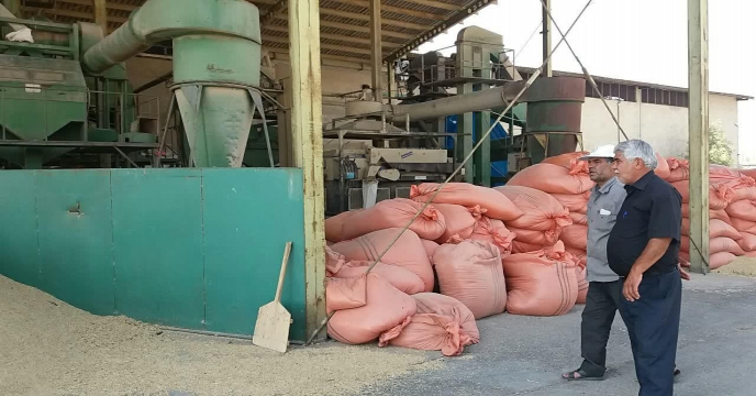 آغاز عملیات بوجاری بذر جوو گندم در استان مرکزی – شهریور ماه 1400