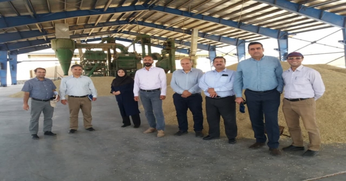 بازدید