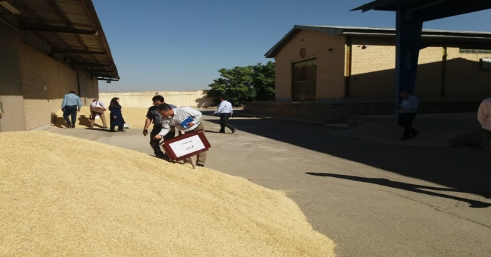 بازدید