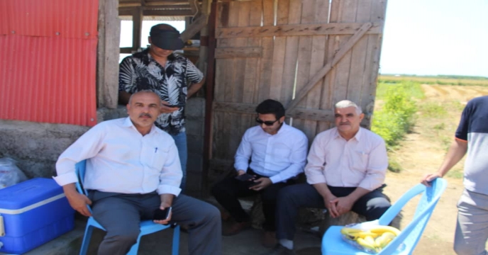 روز مزرغه