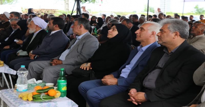بازدید
