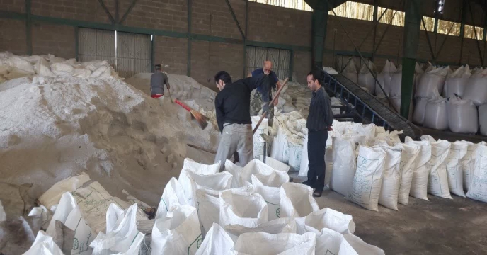 بازدید