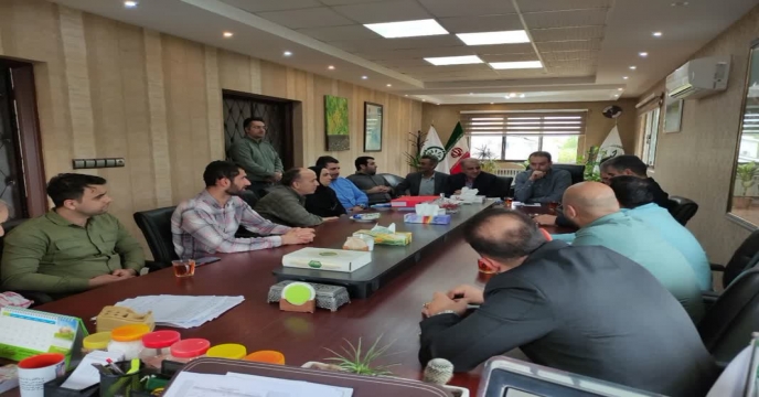 بازدید