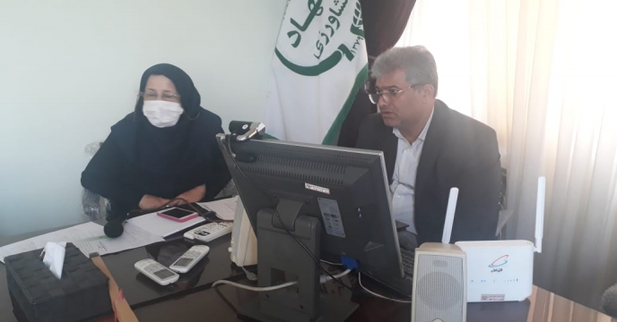 وبینار