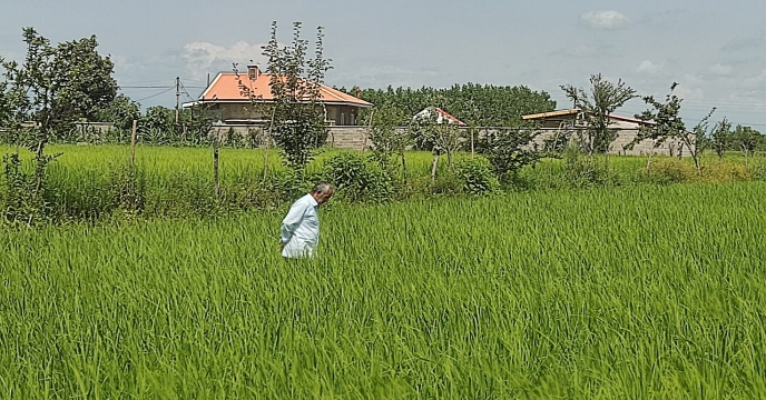 بازدید