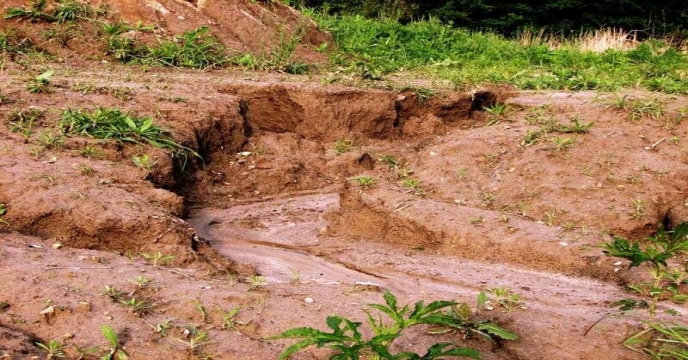 کشاورزی حفاظتی مرهمی برای فرسودگی خاک