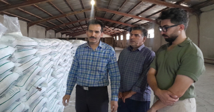 توزیع بیش از 1017 تن انواع کودهای کشاورزی برای توزیع به کشاورزان منطقه فراهان - شهرستان فرمهین و حومه