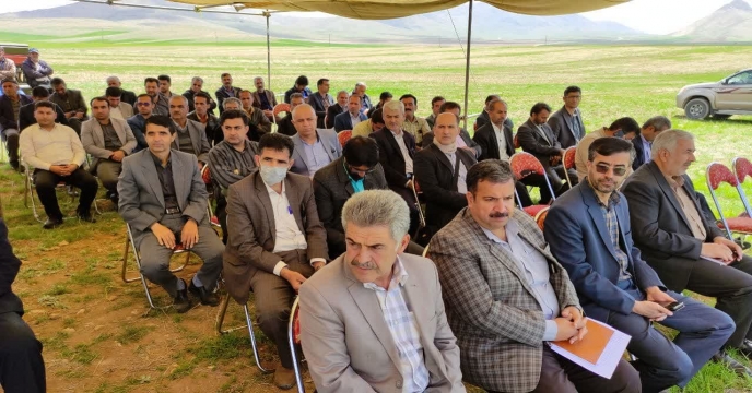 جهش تولید
