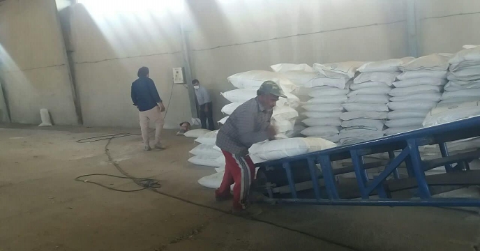 توزیع انواع کودهای شمیایی درروستای بند چای سد الغدیر شهرستان ساوه