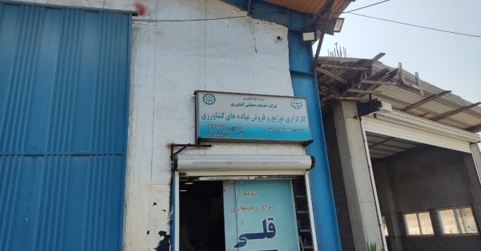 news_tab/goli1.jpg