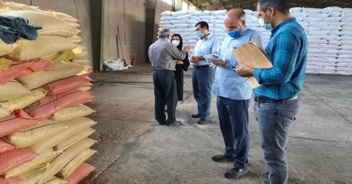بازدید 
