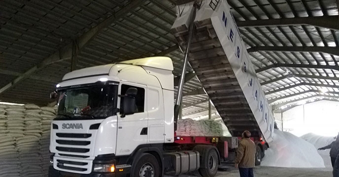 تخلیه 500 تن کود شیمیایی اوره فله در روز دوازدهم فروردین ماه سالجاری در انبار مرکزی شرکت خدمات حمایتی کشاورزی استان همدان