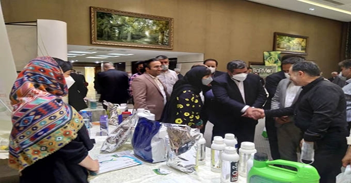 همایش