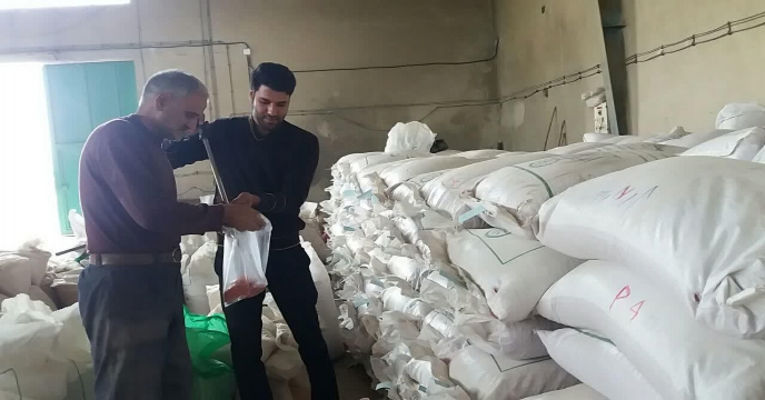 نمونه برداری از گندم بذری بوجاری شده – مهرماه 1399 استان مرکزی