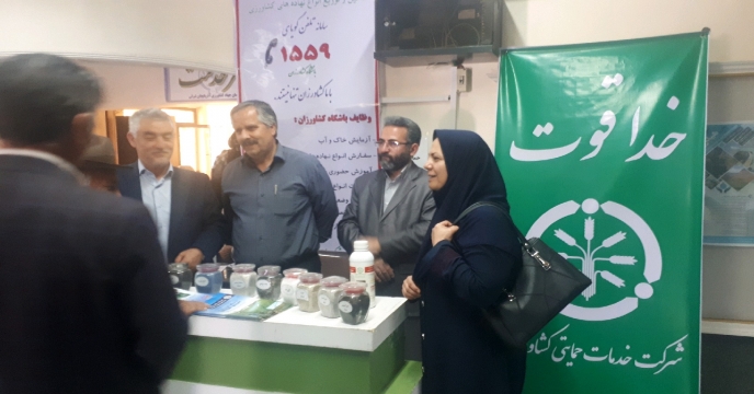 هفته دولت