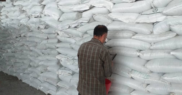 نمونه برداری از کودهای شیمیایی سولفات پتاسیم در انبار سازمانی شرکت خدمات حمایتی کشاورزی استان آذربایجان شرقی