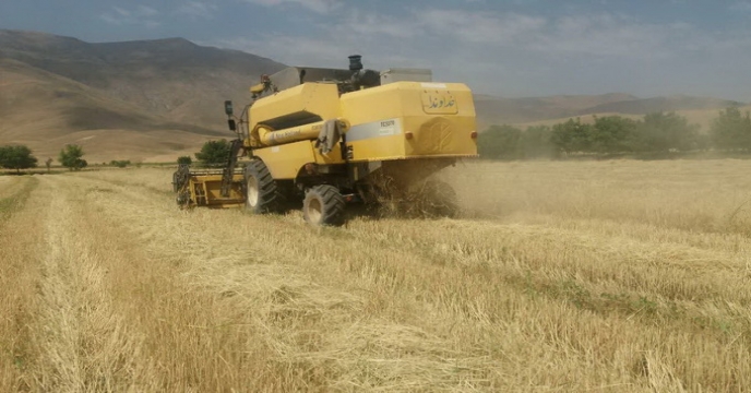 بازدید مزارع درحال کشت