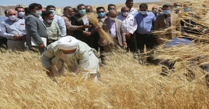 فروش زمین در جلفا