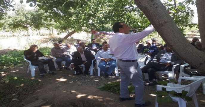 روز مزرعه گردو با محوریت “کرم خراط و مبارزه با آن “در منطقه آستانه شهرستان شازند استان مرکزی برگزار گردید