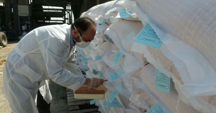 فرآیند نمونه برداری از کود و گندم در انبارهای سازمانی و کارگزاران از ابتدای سال تا کنون استان مرکزی