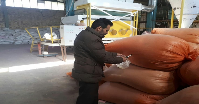 فرآیند نمونه برداری از کود و گندم در انبارهای سازمانی و کارگزاران از ابتدای سال تا کنون استان مرکزی