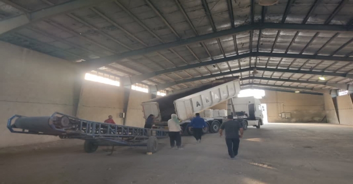 توزیع مقدار488 تن انواع کود کشاورزی یارانه ای از طریق سامانه پایش برای کشاورزان شهرستان خمین و حومه