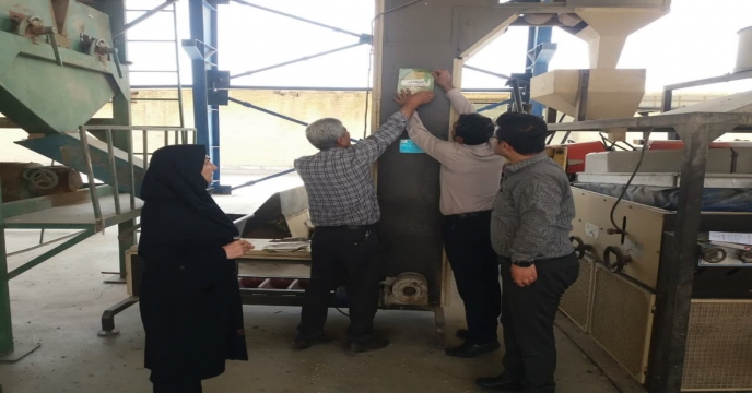 بازدید