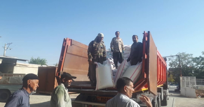 تدارک و توزیع کود اوره در شهر گل و گیاه محلات 